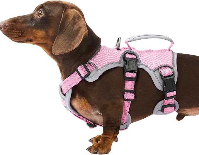 Escape Proof Dog Harness, Dachshund Harness, Reflective Dog Harness with Handle, Durable,Adjustable Vest for Small Medium Large Dogs Walking, Training, and Running Gear (Pink,S)