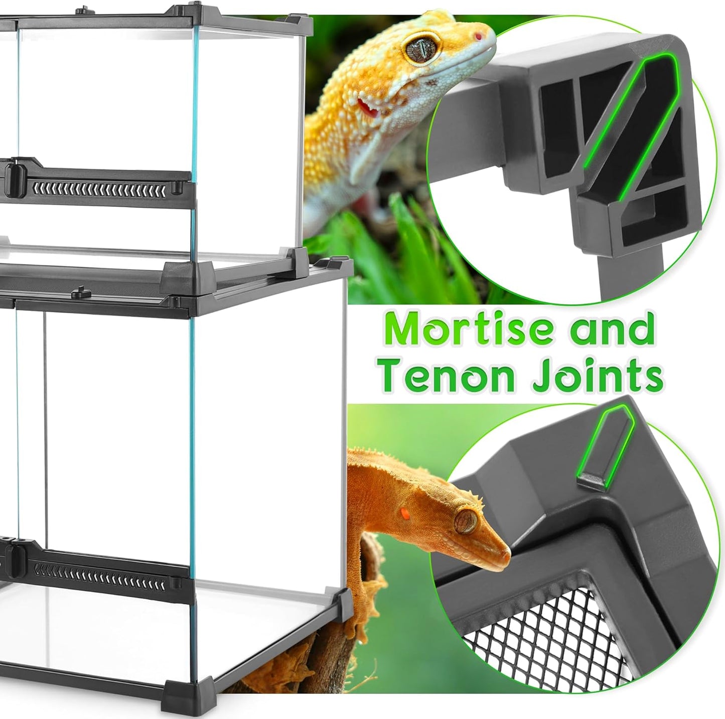 Mini Reptile Glass Terrarium 12"x8"x8" Durable Reptile Habitat Tank with Heat Resistant Aluminum Alloy Frame, Double Swinging Doors for no Jam by Sand and Other Debris