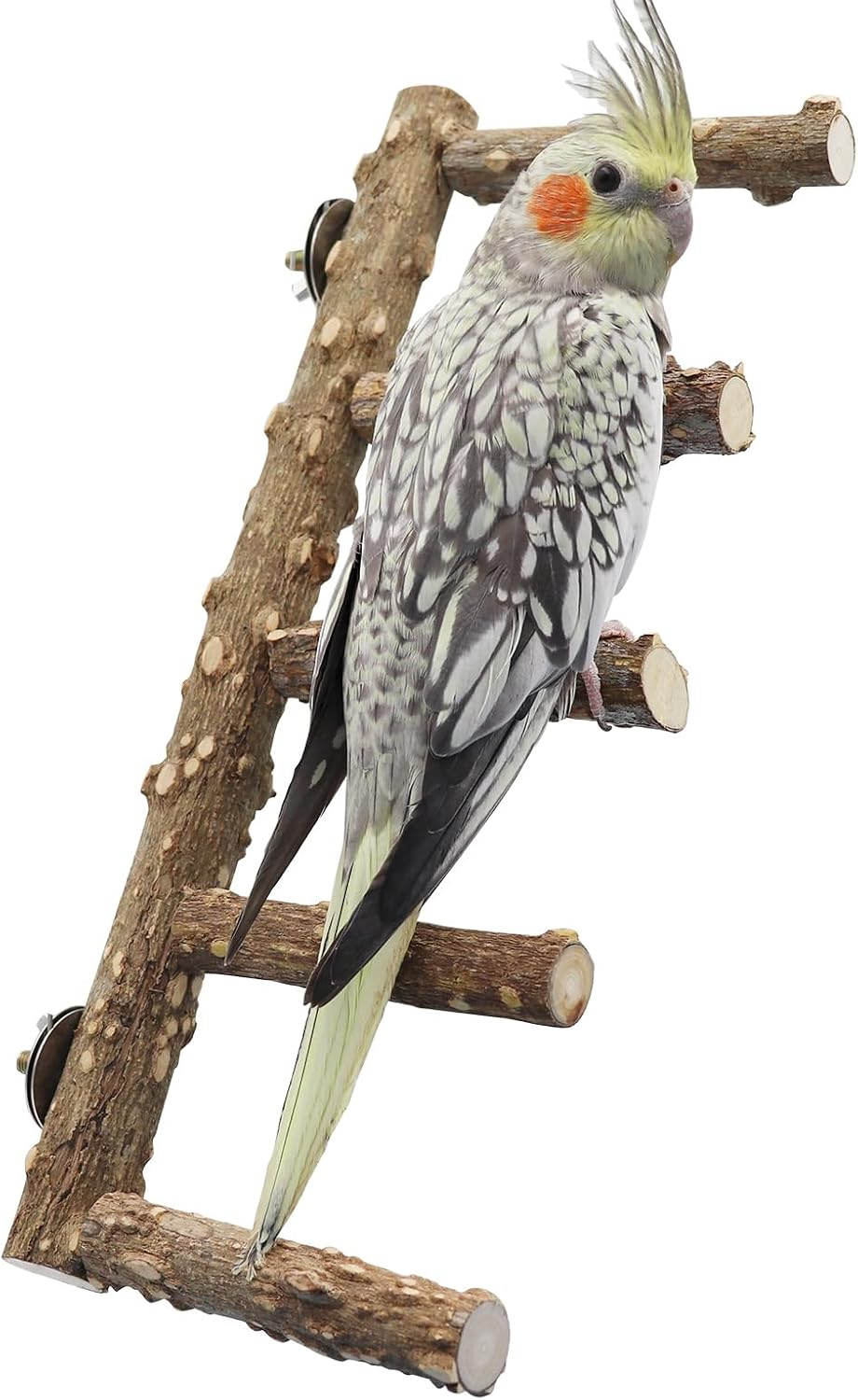 15.7 Inch Large Bird Perch Stand, Natural Wood Parrot Climbing Ladder Toys, Bird Cage Accessories, Suitable for Small to Medium Sized Birds Parakeets Cockatiels Budgies Lovebirds