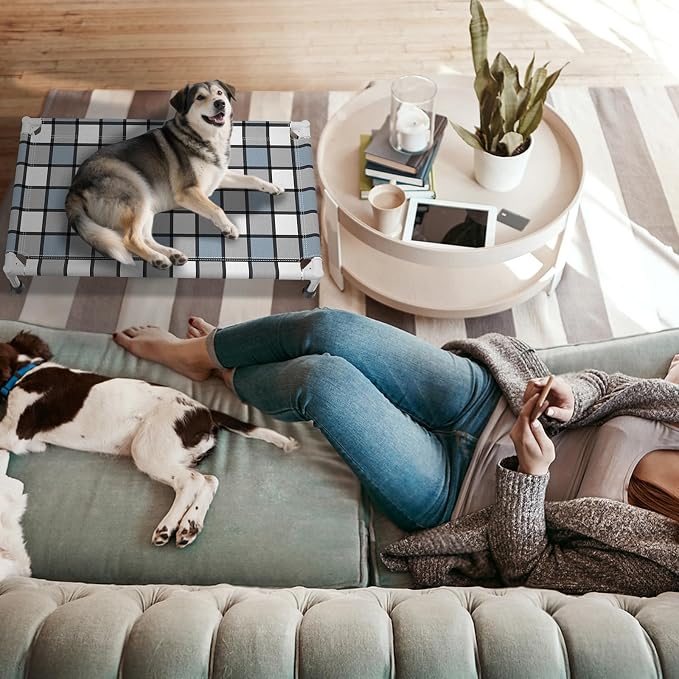 Caghash Elevated Outdoor Raised Dog Bed, Lifted Dog Cot for Medium Pet | Breathable Fabric Dog bed for Indoor & Outdoor, Stainless Steel, Anti-Slip Pet Bed