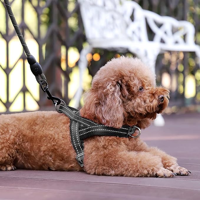 Plutus Pet No Pull Dog Harness for Small Dogs, Breathable Mesh Padded | Adjustable Reflective with Handle, Escape Proof, Quick Fit Pet Vest, Front Clip, for Training and Walking, Black, S