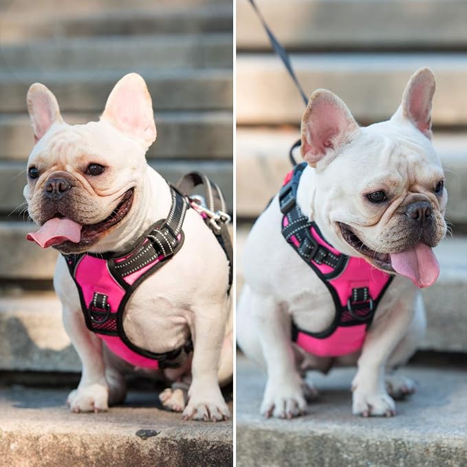 PoyPet No Pull Dog Harness Large with Front Clip & Neck Release Buckle | No Choke, Adjustable Vest, Reflective, Back Clip, Lockable, Soft Padded, Easy Control Handle for Walking Training, L, Pink
