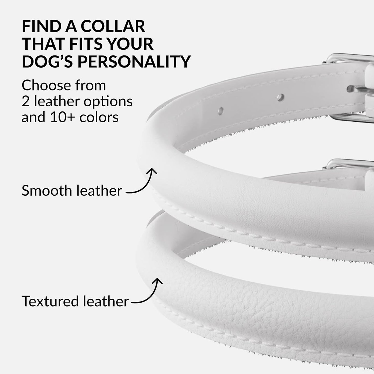 CollarDirect Rolled Leather Dog Collar, Soft Padded Round Puppy Collar, Handmade Genuine Leather Collar Dog Small Large Cat Collars 13 Colors (15-19 Inch, White Smooth)