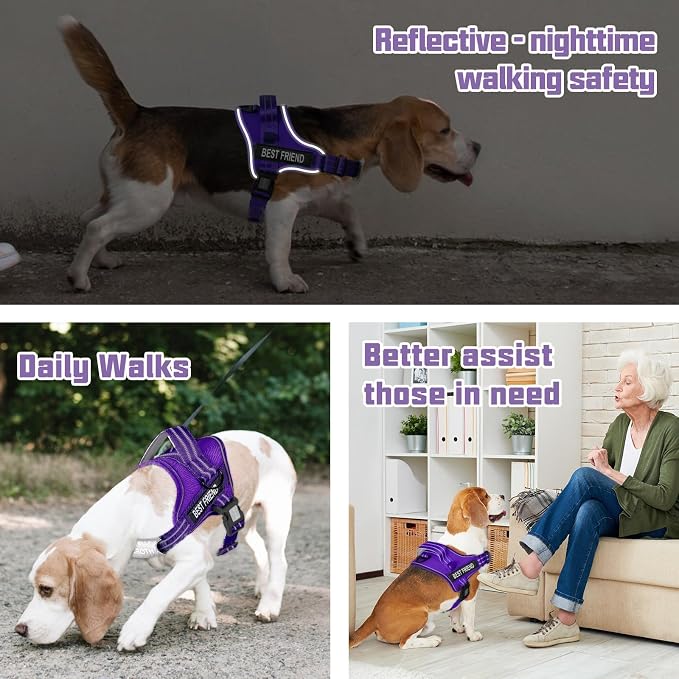 AUROTH Dog Harness for Large Dogs No Pull Tactical Harness and Leash Set | with Leash Clips, LED light clip, Breathable Mesh Padded No Choke, Easy Walking and Training, Purple, Large