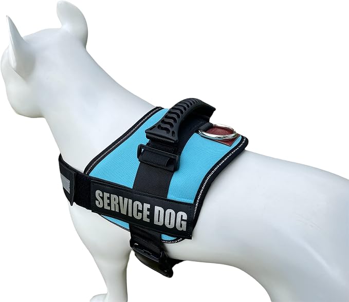 Service Dog Vest Harness – Reflective Service Animal Vest, No-Pull Harness with Handle & Mesh Padding – Sizes XXS-XL for Puppies – 2 Removable Service Patches Included (Large, Blue)