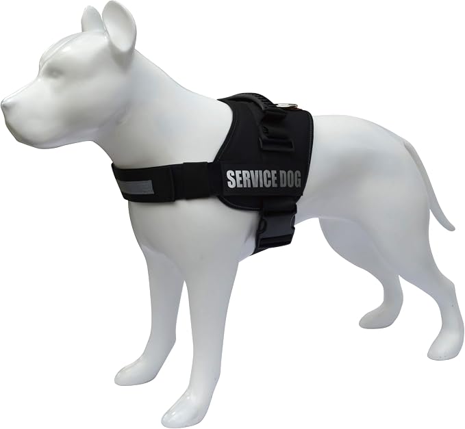 Service Dog Vest Harness – Reflective Service Animal Vest with Handle, No-Pull Adjustable Mesh Padding – XXS–XL – 2 Removable Patches. (Large, Black)