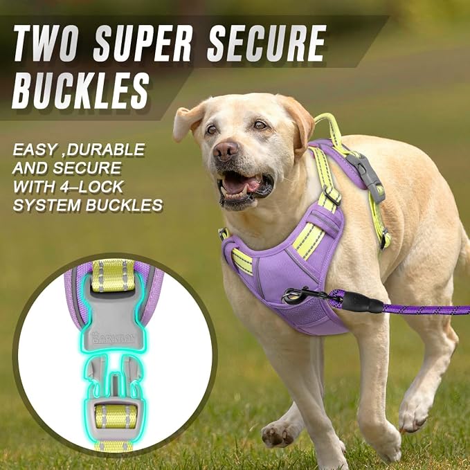 BARKBAY Dog Harness No Pull for Large Dogs Front Back Clips,Dog Vest | Soft Padded No Choke With Handle,Easy On&Off,Adjustable Reflective For Walking Training Running(Violet Purple & Sunlight,L)