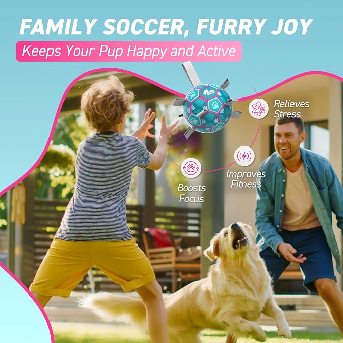 QDAN Dog Toys Soccer Ball with Straps, Beach Pool Dog Water Toy, Herding Balls for Dog, Blue (6 Inch)