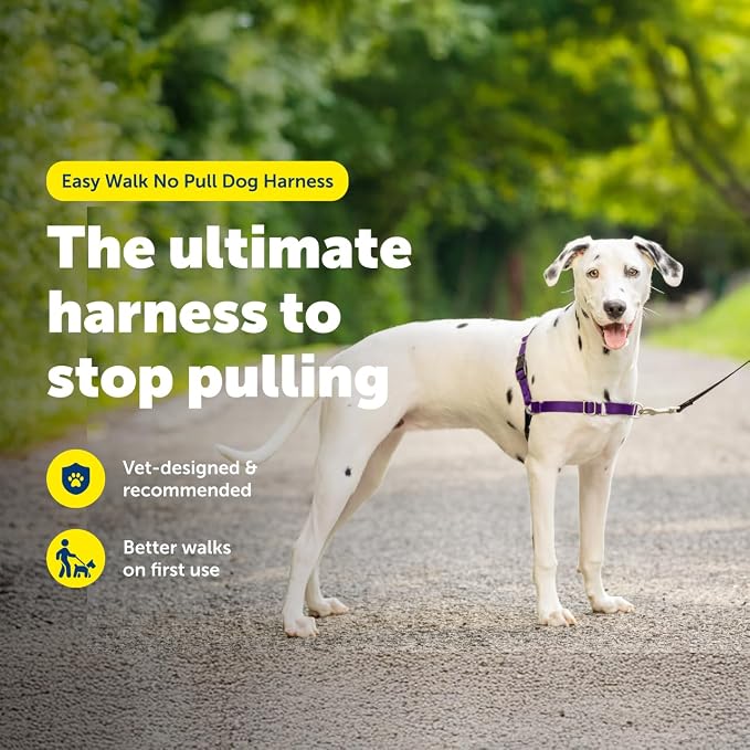 PetSafe Easy Walk Harness, No Pull Dog Harness, Black, Medium/Large | Patented Martingale Loop Gives Gradual Shoulder Pressure to Stop Pulling, Front-Chest Leash Clip Prevents Gagging
