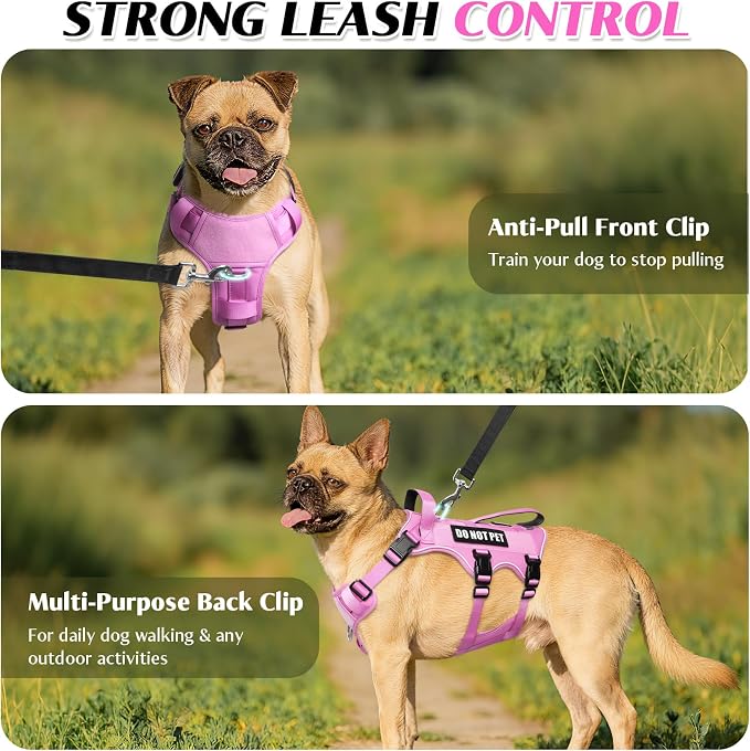 Escape Proof Dog Harness with Double Handle+4 Removable Patches | Service Working Molle Harness with Double Handle for Small Dogs, Tactical Pet Reflective Vest for Walking Hiking Hunting