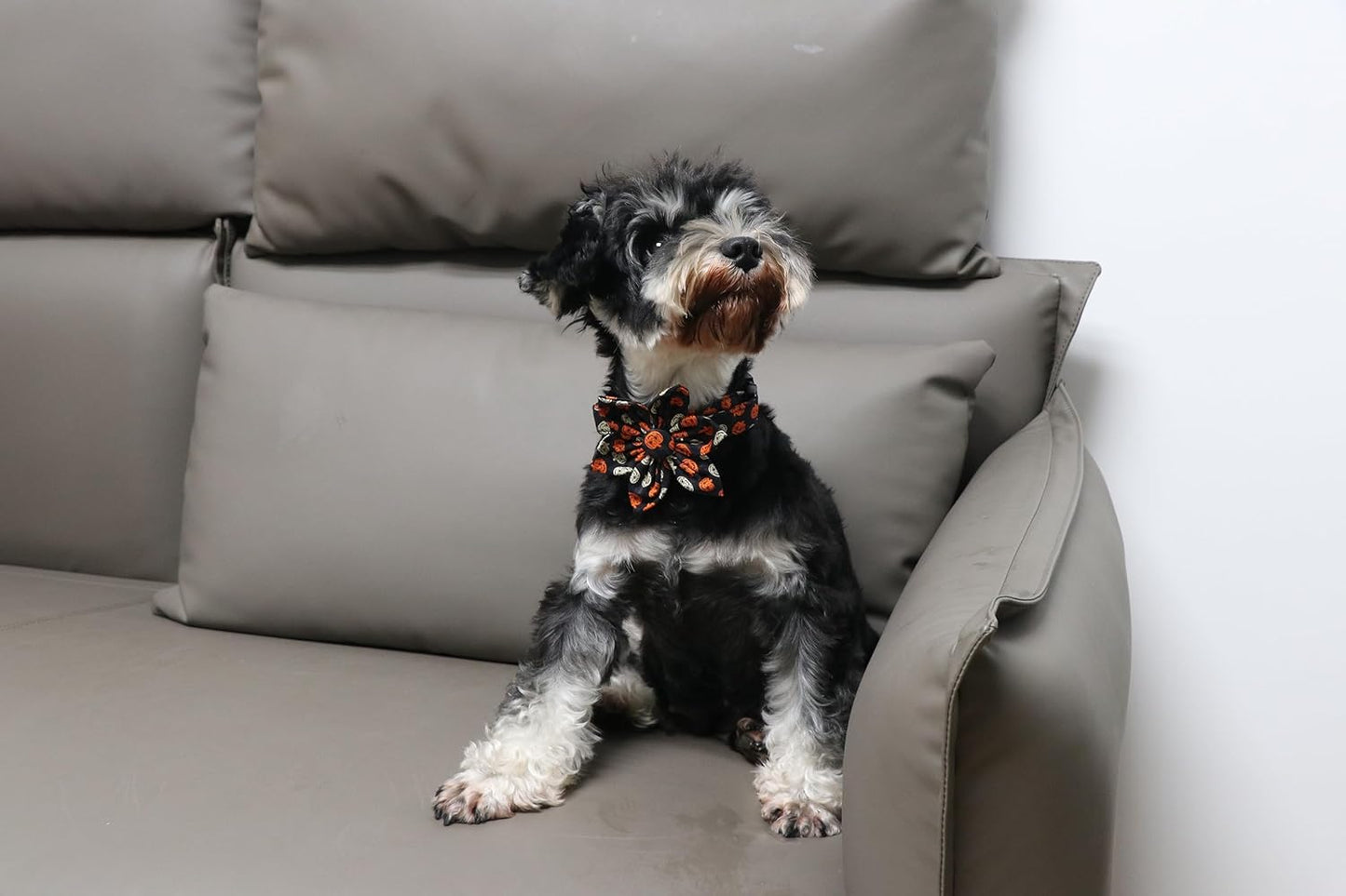 Lionet Paws Flower Dog Collar - Cute Cotton Adjustable Flower Dog Cat Collar with Metal Buckle for Puppy Girl Gift, XS, Neck 8-12in