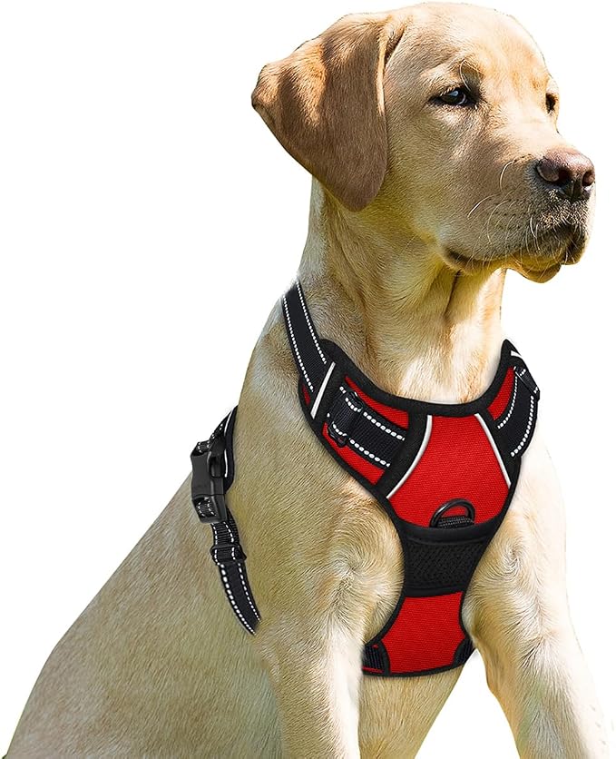 BARKBAY Dog Harness No Pull for Small Sized Dog Front Back Clips,Dog Vest | Soft Padded No Choke With Handle,Easy On&Off,Adjustable Reflective For Walking Training Running(Red,XS)