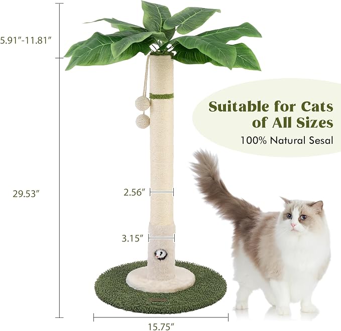Woochpet Cat Scratching Post for Indoor Cats and Kitten - 35.43" Tall Cat Scratching Post with Sisal Rope,Palm Tree Cat Scratch Post with Hanging Ball (35.4-White, 35.4in)