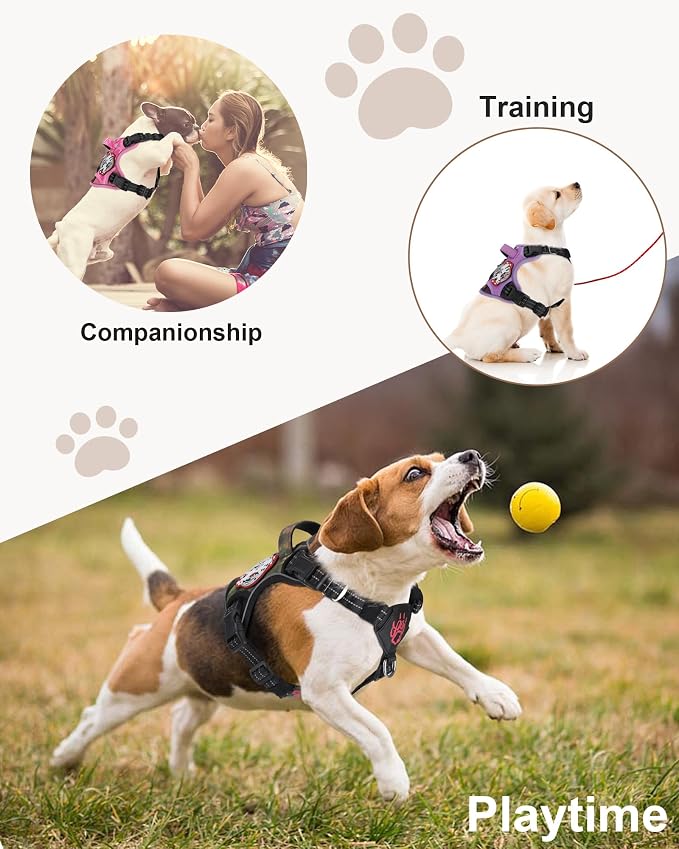 Petnanny Tactical Dog Harness No Pull Service Dog Vest M Purple | Tactical Dog Vest with breathable mesh & hook loop panel, no pull harness for walking training, adjustable fit