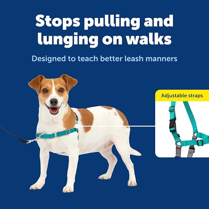 PetSafe Easy Walk Harness, No Pull Dog Harness, Small, Teal | Patented Martingale Loop Gives Gradual Shoulder Pressure to Stop Pulling, Front-Chest Leash Clip Prevents Gagging