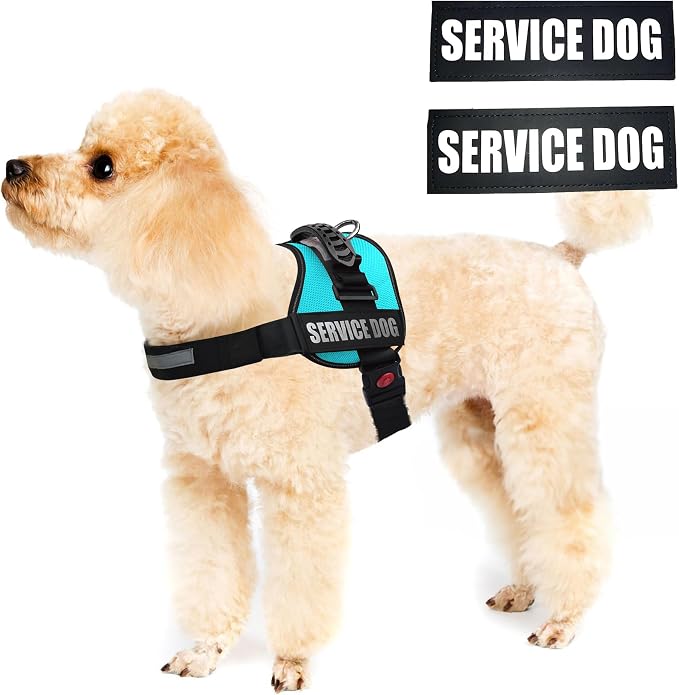 Service Dog Vest Harness – Reflective Service Animal Vest, No-Pull Harness with Handle & Mesh Padding – Sizes XXS-XL for Puppies – 2 Removable Service Patches Included (Small, Blue)