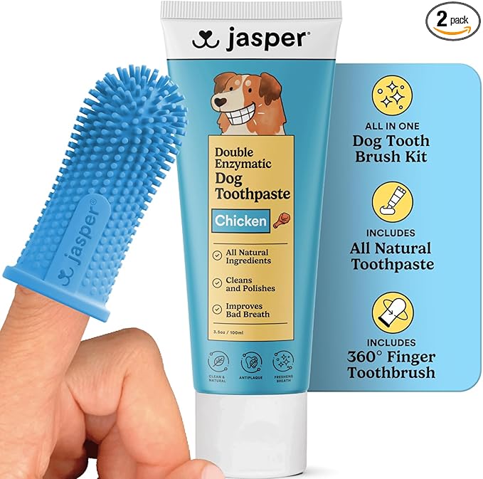 Jasper Dog Tooth Brushing Kit and Dog Toothpaste Kit 360 Dog Toothbrush Enzymatic Plaque Remover Imporves Bad Breath Natural Pet Toothpaste Dog Toothbrush and Toothpaste 2 oz Chicken Flavor