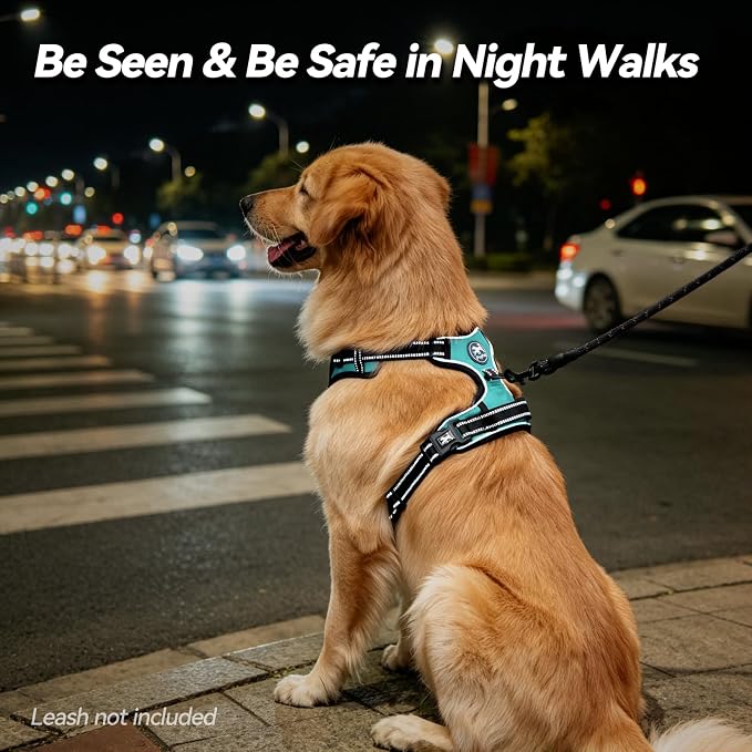 PoyPet No Pull Dog Harness Large with Front Clip & Neck Release Buckle | No Choke, Adjustable Vest, Reflective, Back Clip, Lockable, Soft Padded Handle for Walking Training, XL, Mint Blue