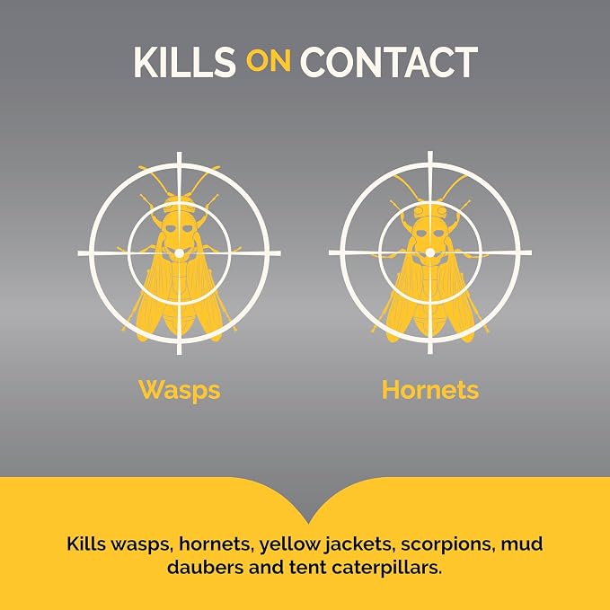 Hot Shot Wasp & Hornet Killer, Aerosol, 14-Ounce, 12-Pack Black