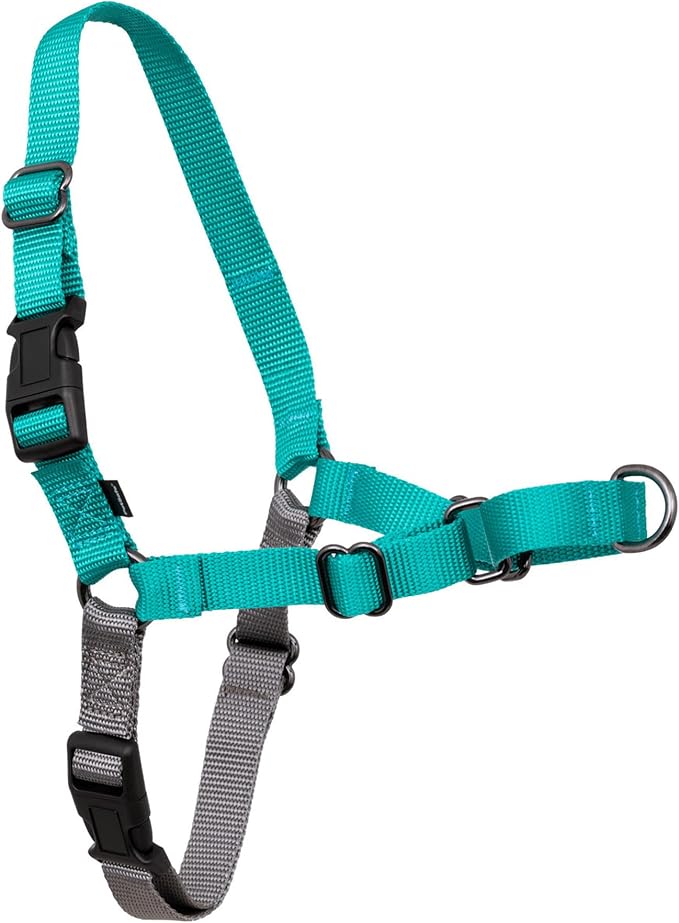 PetSafe Easy Walk Harness, No Pull Dog Harness, Large, Teal | Patented Martingale Loop Gives Gradual Shoulder Pressure to Stop Pulling, Front-Chest Leash Clip Prevents Gagging