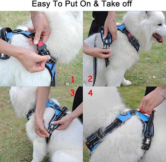 PoyPet No Pull Dog Harness Large with Front Clip & Neck Release Buckle | No Choke, Adjustable Vest, Reflective, Back Clip, Lockable, Soft Padded, Easy Control Handle for Walking Training, XL, Blue