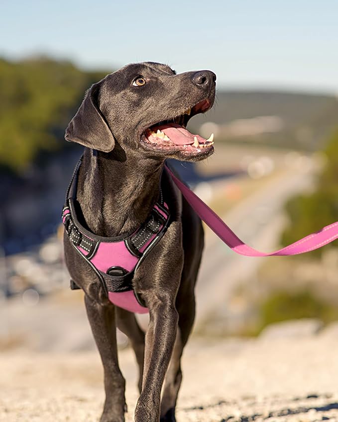 Joytale No Pull Dog Harness for Extra Large Dogs, Front Clip, Pink | Grab Handle for Instant Control, Padded & Adjustable Vest, Sturdy Metal D-Rings, for Safe Training & Daily Walking