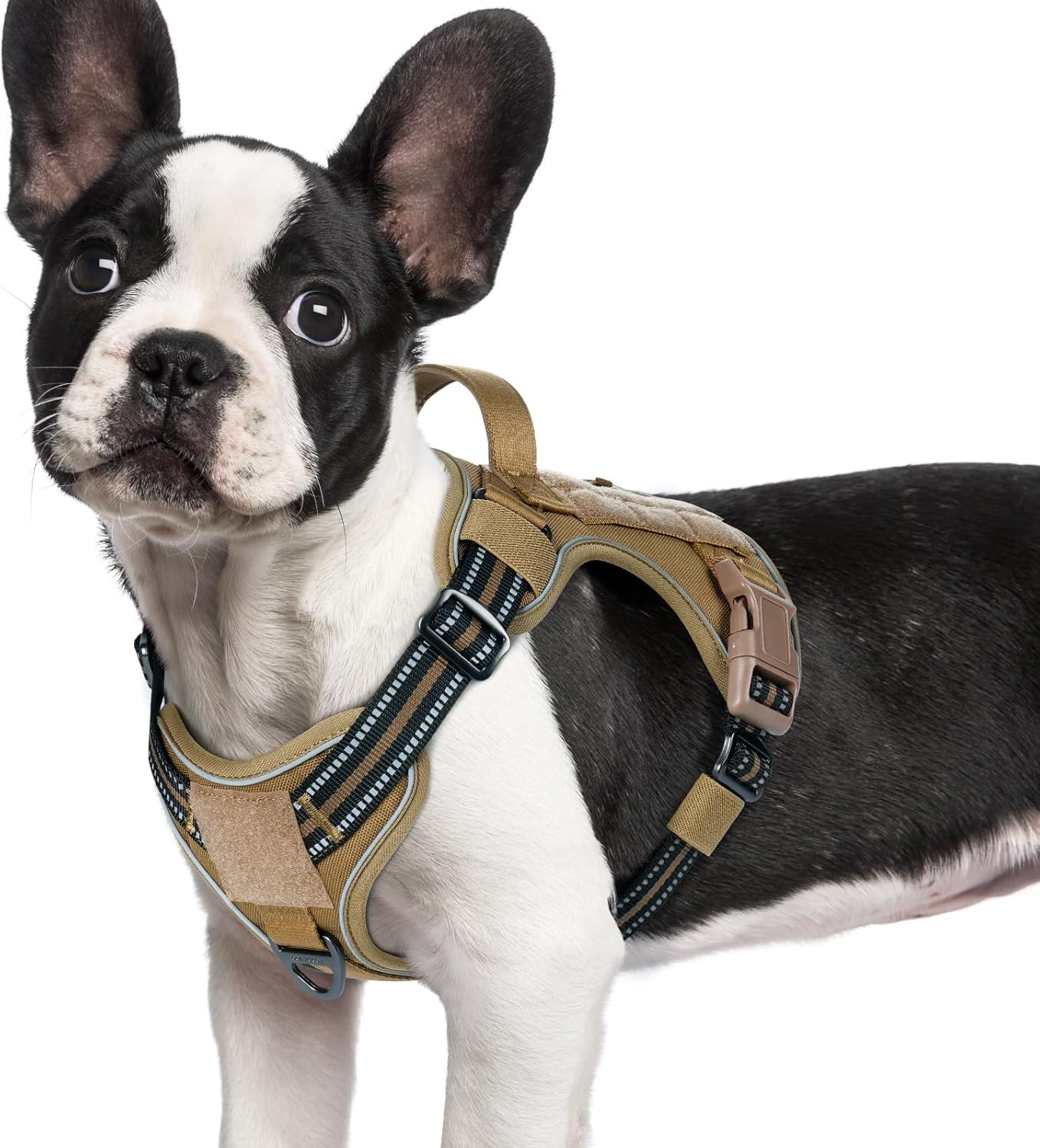 rabbitgoo Dog Harness Small Sized No Pull, Tactical Service Pet Vest with Molle and Control Handle, Adjustable and Reflective Military Harness for Easy Walking and Training, Brown, S