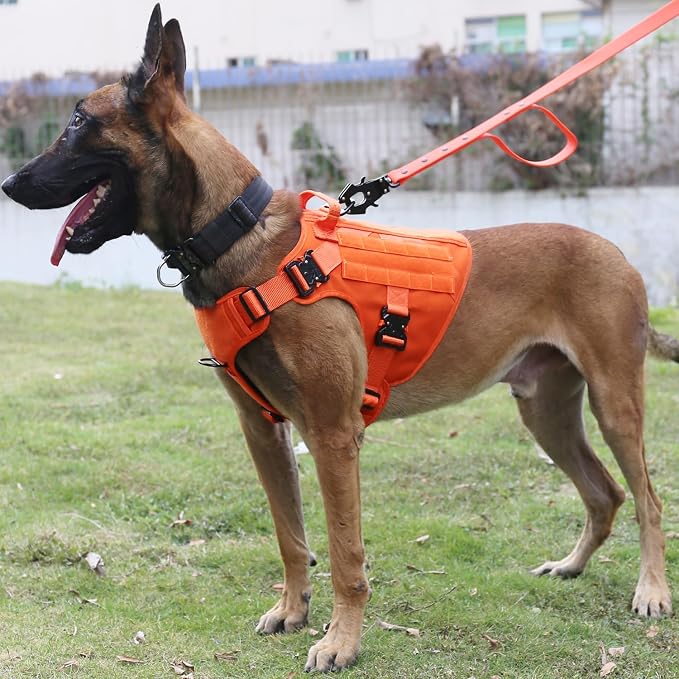 ICEFANG Tactical Dog Harness for Large Dogs,Full Metal Buckles Dog Vest | with MOLLE, Reflective,Adjustable,2 Leash Clips,Control Handle,No Pull,Soft Padded,Orange,Large