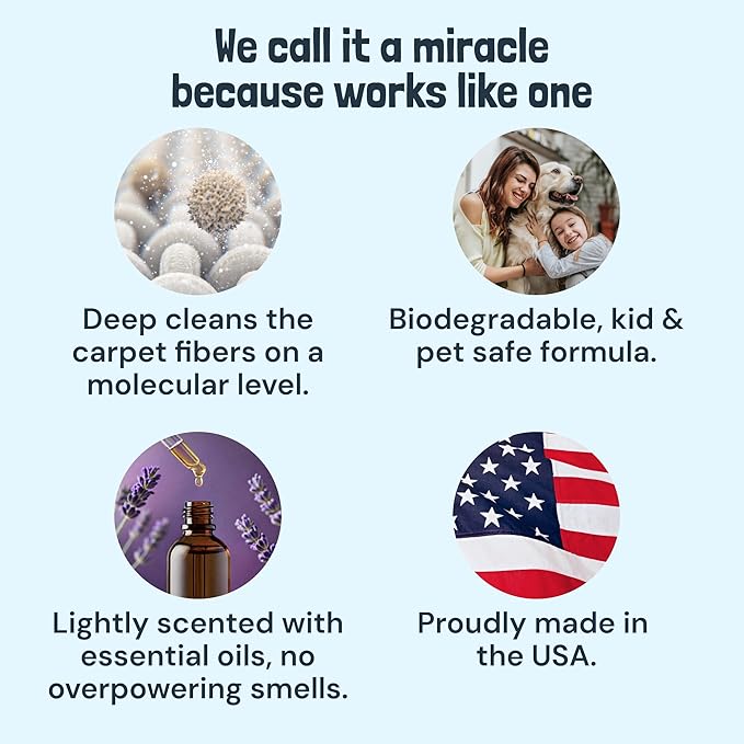 Sunny & Honey Carpet Cleaner Shampoo Solution for Machines, 1 Gal Lavender | USA Made - Stain and Odor Eliminator - Cleans Carpets and Upholstery - For Upright and Spot Cleaners - Concentrated Formula