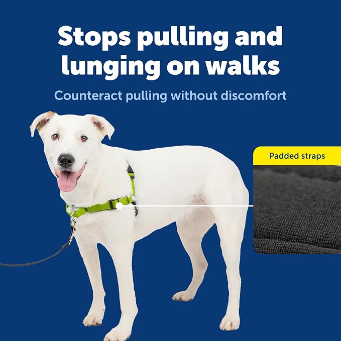 PetSafe Deluxe Easy Walk No Pull Dog Harness, Apple Green, Medium/Large | Padded Neoprene Straps, Reflective Strips for Night Safety, Martingale Loop Curbs Pulling from the Chest, Not the Throat