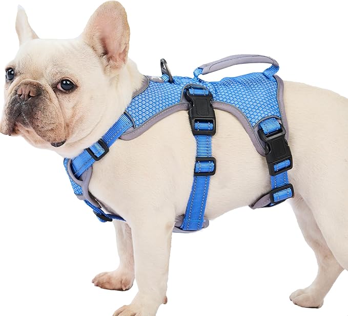 Escape Proof Dog Harness, Dachshund Harness, Reflective Dog Harness with Handle, Durable,Adjustable Vest for Small Medium Large Dogs Walking, Training, and Running Gear (Sea Blue,M)