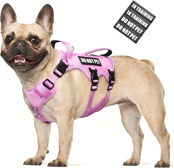 Escape Proof Dog Harness with Double Handle+4 Removable Patches | Service Working Molle Harness with Double Handle for Medium Dogs, Tactical Pet Reflective Vest for Walking Hiking Hunting