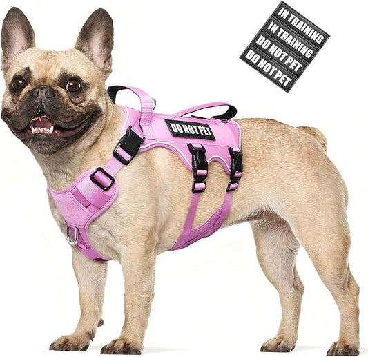 Escape Proof Dog Harness with Double Handle+4 Removable Patches | Service Working Molle Harness with Double Handle for Medium Dogs, Tactical Pet Reflective Vest for Walking Hiking Hunting