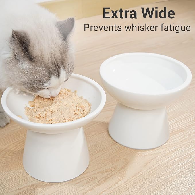CEEFU 2 Elevated Ceramic Cat Bowls Extra Wide for Food & Water – Whisker Fatigue Shallow Food Dish, Lead & Cadmium-Free, Raised Height for Cats and Dogs, White