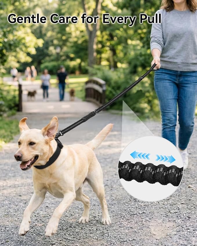Joytale Tactical Bungee Dog Leash, Shock Absorbing No Pull, Black | For Large Dogs That Pull, 2 Padded Handles for Control, Car Seatbelt Clip, Reflective for Night Safety, Metal Frog Clip