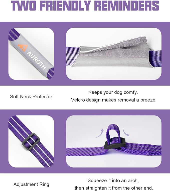 AUROTH Dog Harness and Leash Set Small Sized Dog, No Pull Escape Proof Vest | with Leash Clips, LED light clip, Breathable Mesh Padded No Choke, Easy Walking and Training, Purple, Small
