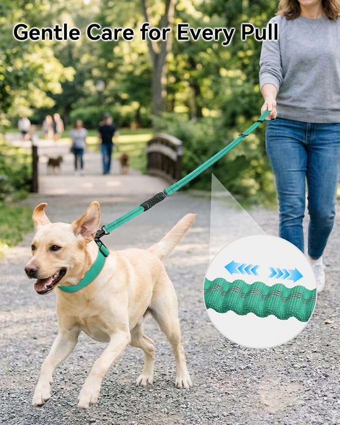 Joytale Tactical Bungee Dog Leash, Shock Absorbing No Pull, Teal | for Large Dogs That Pull, 2 Padded Handles for Control, Car Seatbelt Clip, Reflective for Night Safety, Metal Frog Clip