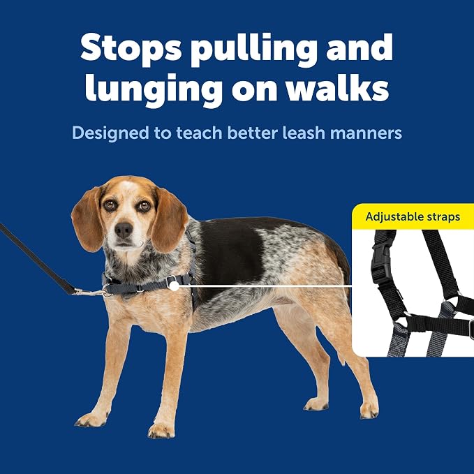 PetSafe Easy Walk Harness, No Pull Dog Harness, Charcoal Gray, Small/Medium | Patented Martingale Loop Gives Gradual Shoulder Pressure to Stop Pulling, Front-Chest Leash Clip Prevents Gagging