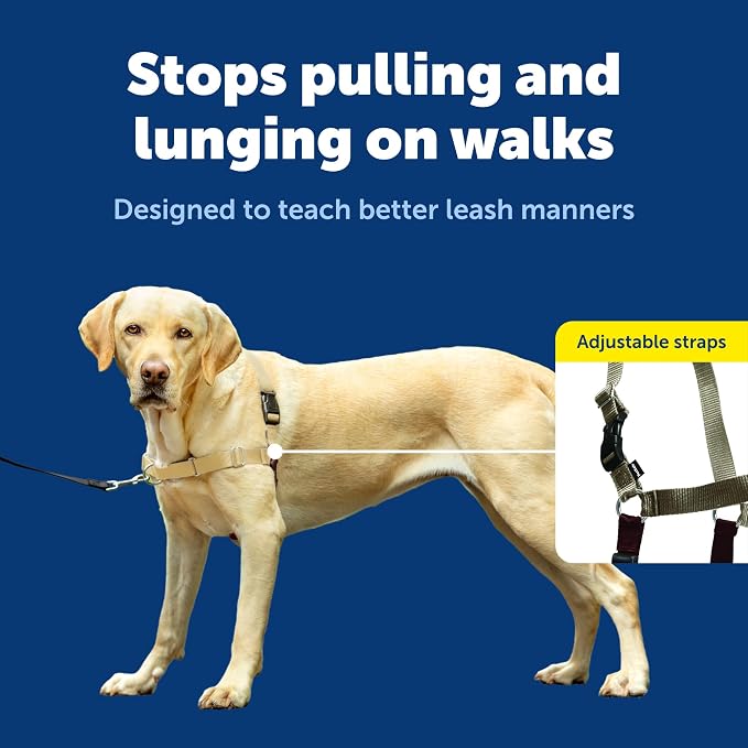 PetSafe Easy Walk Harness, No Pull Dog Harness, Fawn, Large | Patented Martingale Loop Gives Gradual Shoulder Pressure to Stop Pulling, Front-Chest Leash Clip Prevents Gagging