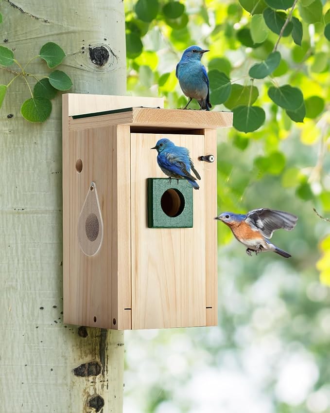 CEDAR ALPHA Bluebird Bird House with Camera,Metal Roof,1080P Birdhouse for Outside with Night Vision, Birdhouse with Camera APP Control, 2.4G WiFi App to Observe Bird Activities
