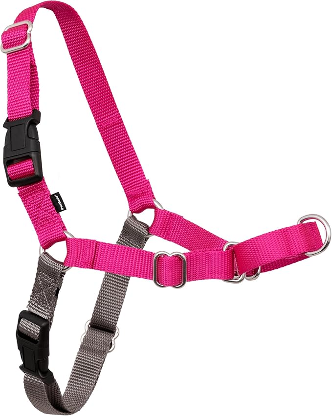 PetSafe Easy Walk Harness, No Pull Dog Harness, Medium, Raspberry | Patented Martingale Loop Gives Gradual Shoulder Pressure to Stop Pulling, Front-Chest Leash Clip Prevents Gagging
