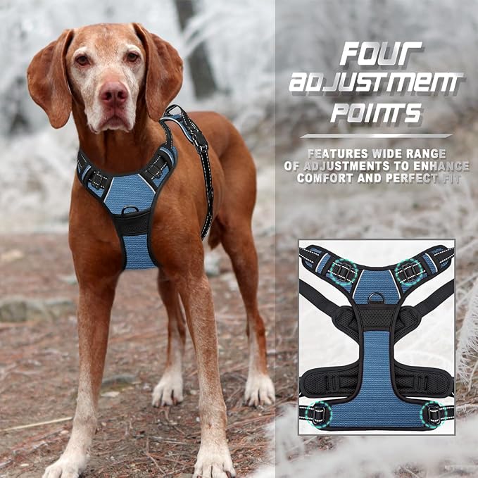BARKBAY Dog Harness No Pull for Small Sized Dog Front Back Clips,Dog Vest | Soft Padded No Choke With Handle,Easy On&Off,Adjustable Reflective For Walking Training Running(Navy,S)