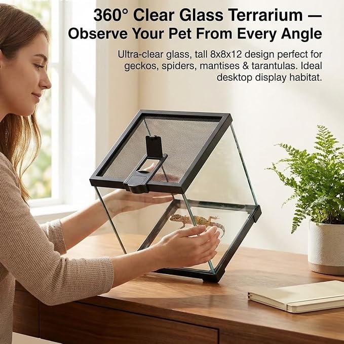 8x8x12 Terrarium Glass Tarantula Enclosure: Full View Stackable Tank | Jumping Spider Enclosure with Lockable Sliding Screen Top for Crested Gecko Hermit Crab - Vertical Habitat for Arboreal Frog