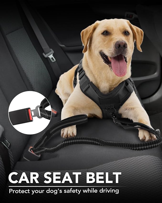 Joytale Tactical Bungee Dog Leash, Shock Absorbing No Pull, Black | For Large Dogs That Pull, 2 Padded Handles for Control, Car Seatbelt Clip, Reflective for Night Safety, Metal Frog Clip