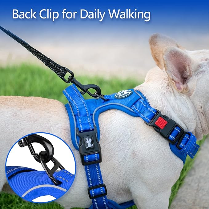PoyPet No Pull Dog Harness, Reflective Vest with 2 Leash Clips & Handle | Lockable Neck Release Buckle, No Choke, Adjustable, Soft Padded, for Walking Training, Royal Blue, Small