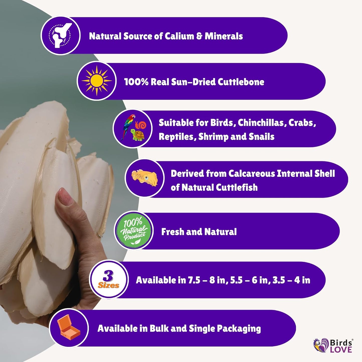 Birds LOVE 4-Piece Cuttlebone 3.5–4-Inch with Holder – Natural Calcium & Trace Mineral Block for Birds & Reptiles – Beak-Trimming Chew Supplement – Safe, 100% Pure, No Fillers