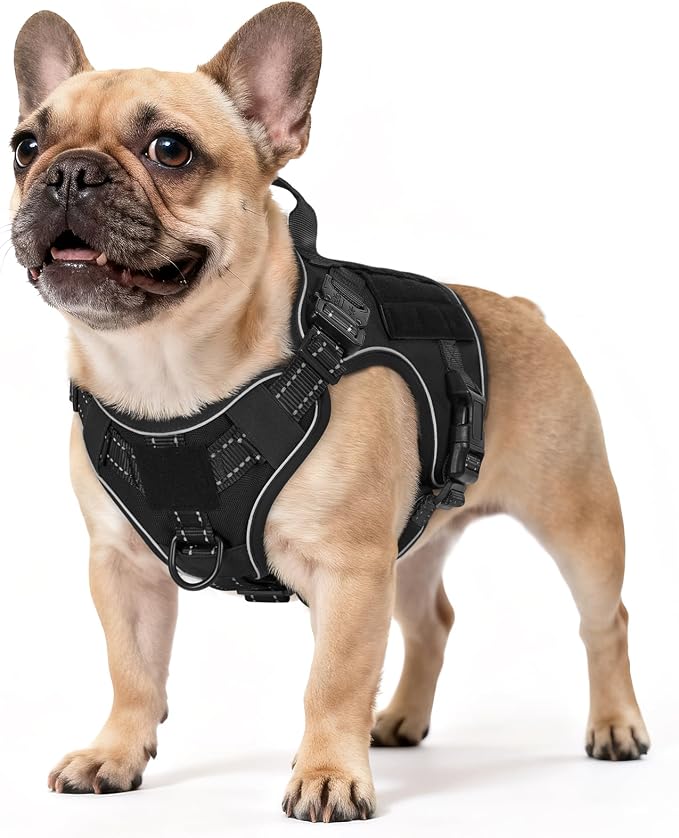 rabbitgoo Tactical Dog Harness for Small, Heavy Duty Military No Pull Vest | Sturdy Metal Buckles, 5 Adjustments, Molle System, Powerful Pullers for Training, Hunting, Outdoor, Black Reflex, Small