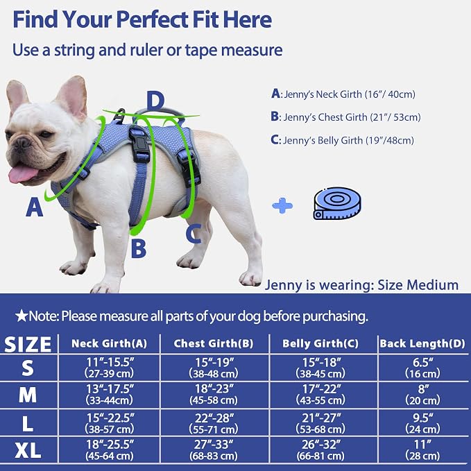 Escape Proof Dog Harness, Dachshund Harness, Reflective Dog Harness with Handle, Durable,Adjustable Vest for Small Medium Large Dogs Walking, Training, and Running Gear (Technicolor Blue,L)