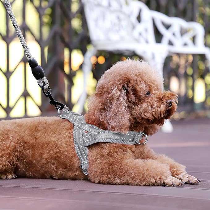 Plutus Pet No Pull Dog Harness for Small Dogs, Breathable Mesh Padded | Adjustable Reflective with Handle, Escape Proof, Quick Fit Pet Vest, Front Clip, for Training and Walking, Gray, S