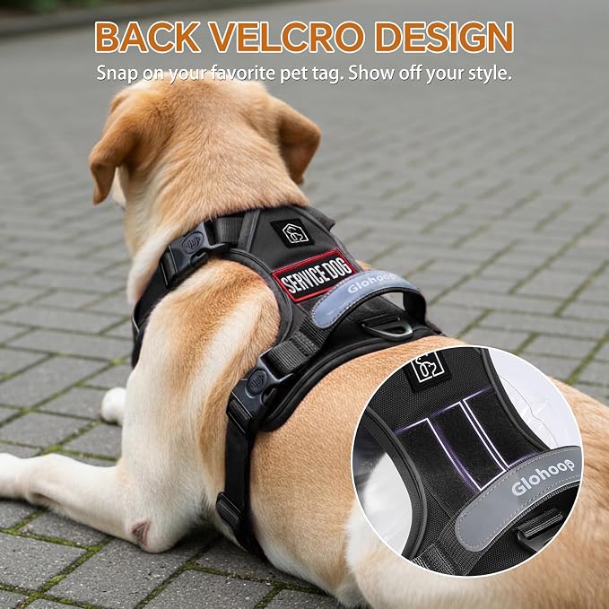 Heavy Duty Tactical Dog Harness for X-Large Dogs, No Pull Dog Harness with Handle & Front Clip, Reflective Soft Padded, Hook and Loop Panel, Dog Vest for Walking, Service Training, Black